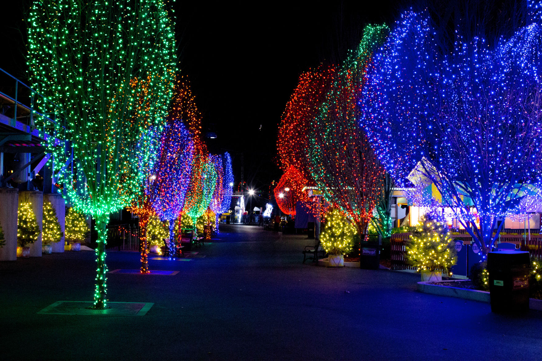 Christmas Candylane - Lights 1.jpg